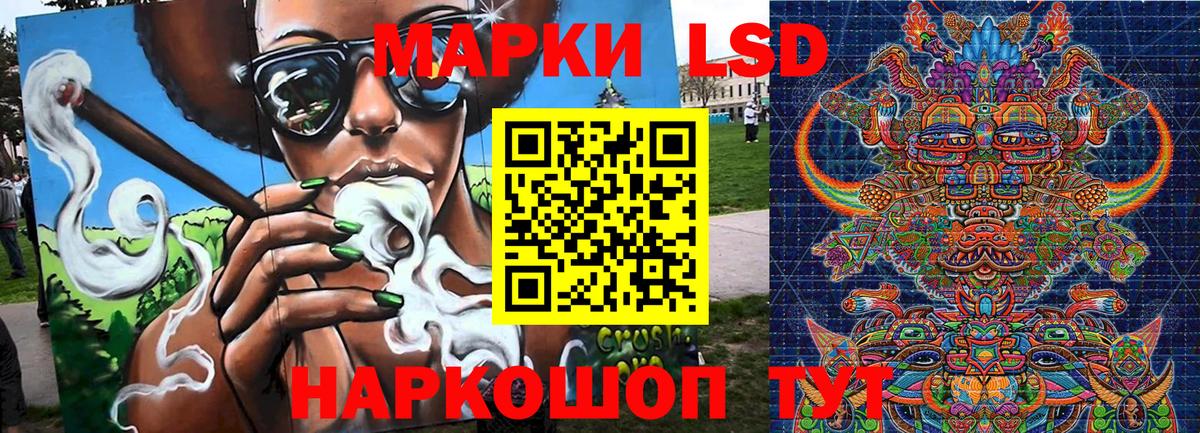 дарнет шоп  Наркотические марки 1500мкг  Вход с VPN  Котовск  Наркотические марки 1500мкг 