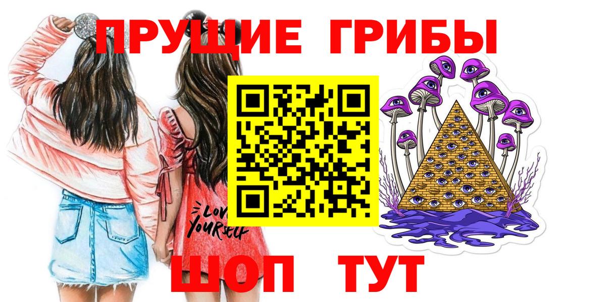 Псилоцибиновые грибы ЛСД  Вход с VPN  Котовск  где купить наркотик  Псилоцибиновые грибы MAGIC MUSHROOMS 