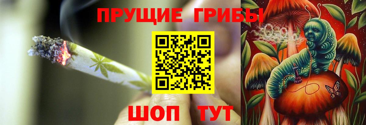 Псилоцибиновые грибы GOLDEN TEACHER Котовск